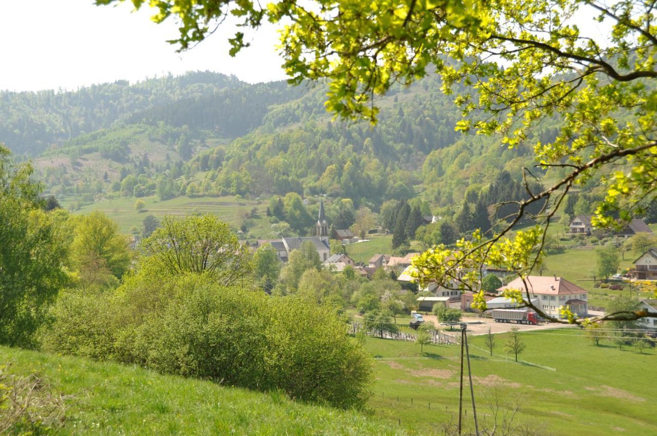 Appartement A Mitzach Экстерьер фото